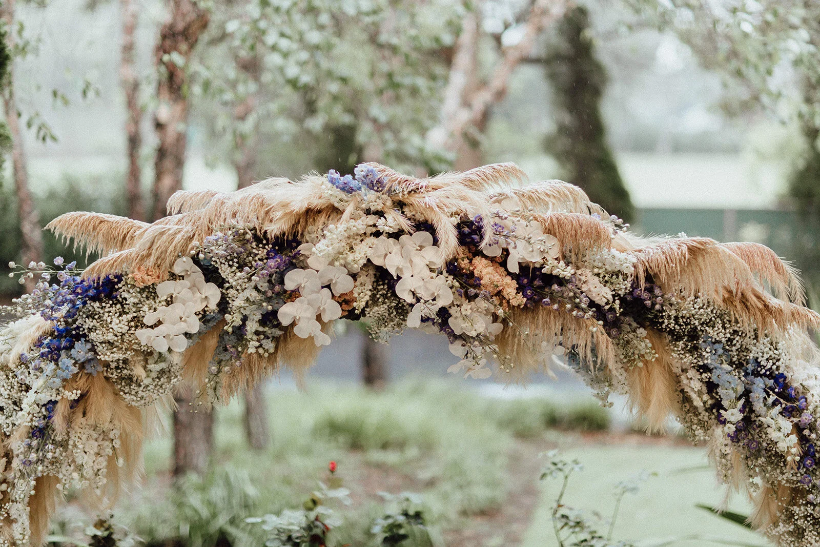 Lauren Anne Photography