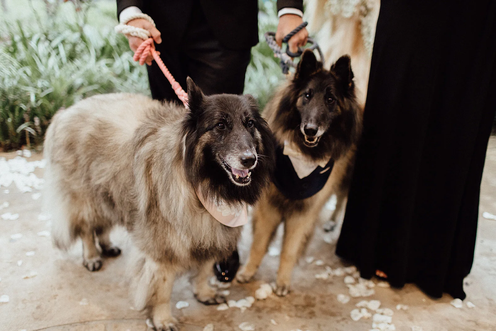 Lauren Anne Photography