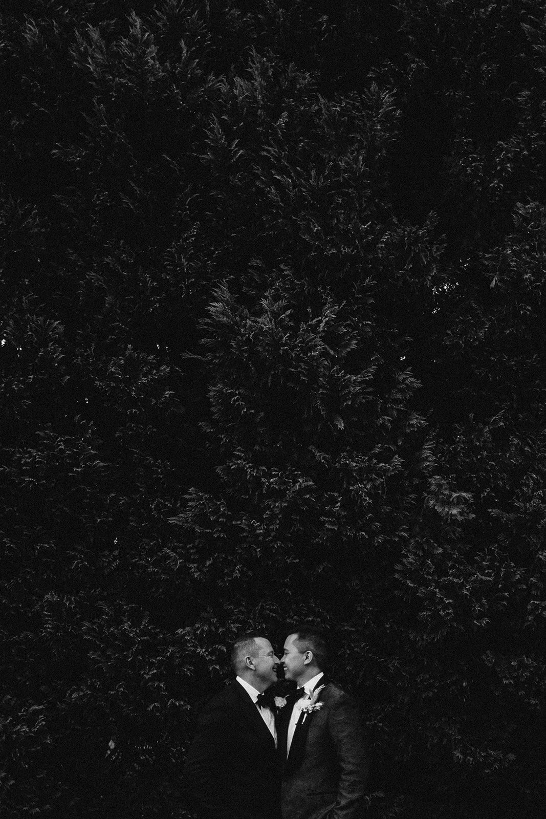 Lauren Anne Photography