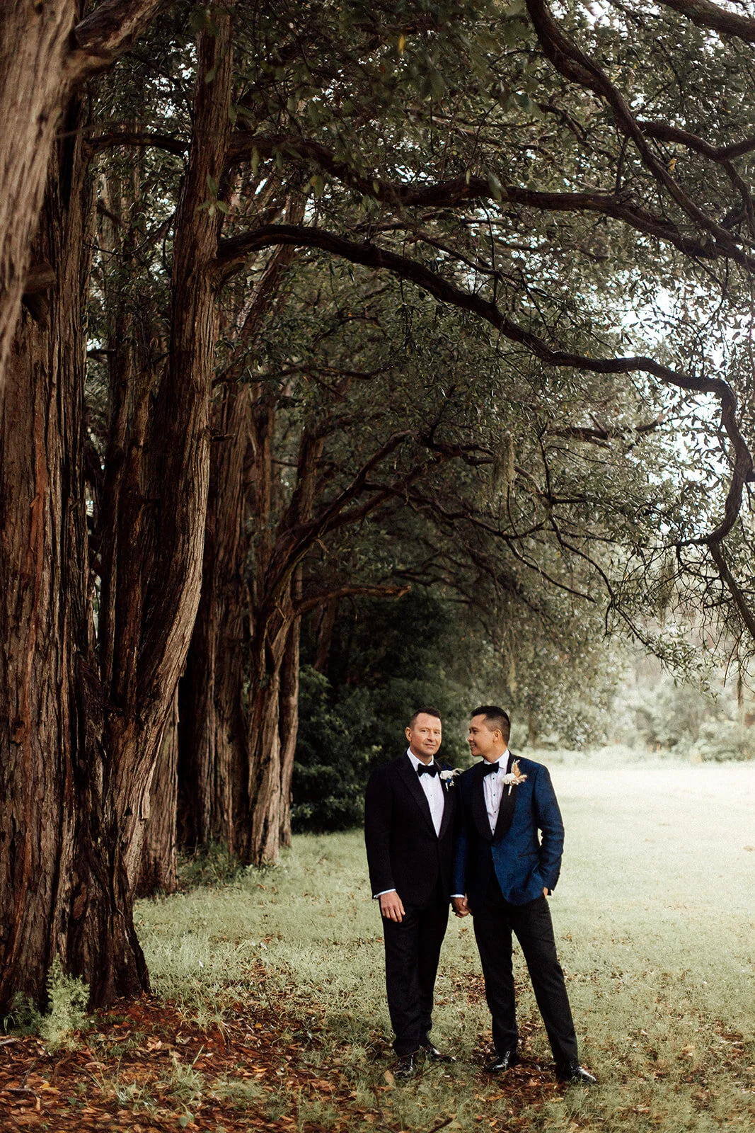 Lauren Anne Photography