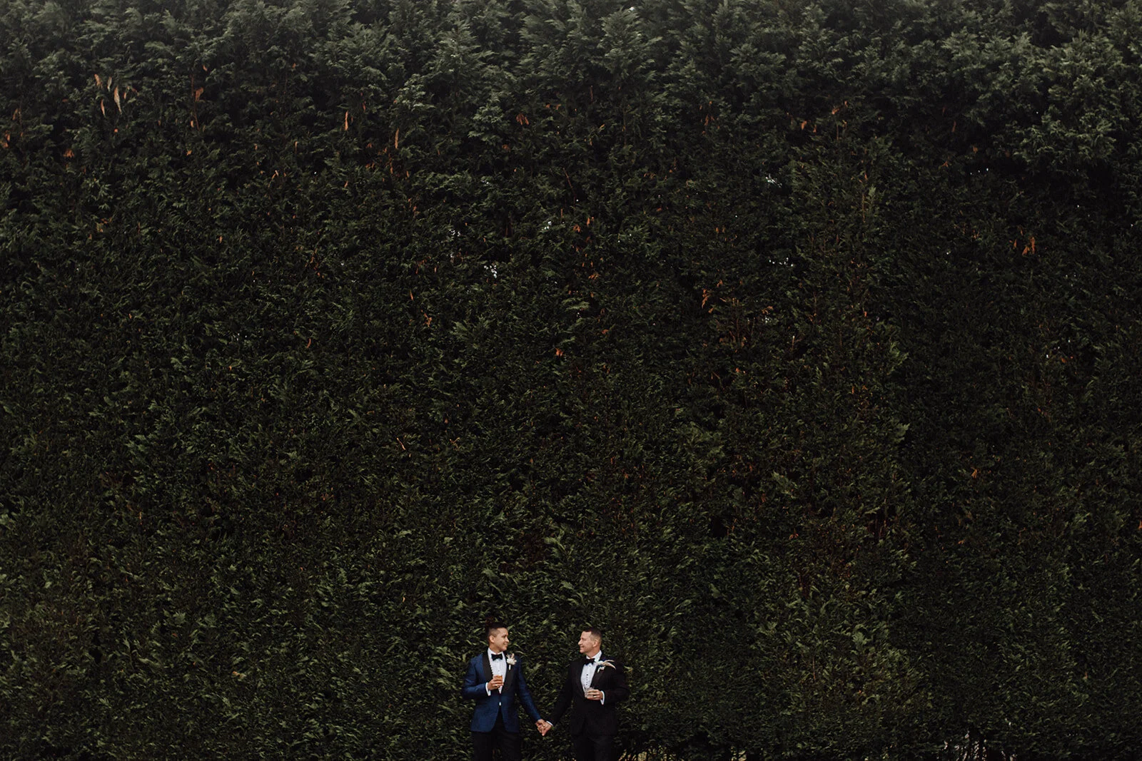 Lauren Anne Photography