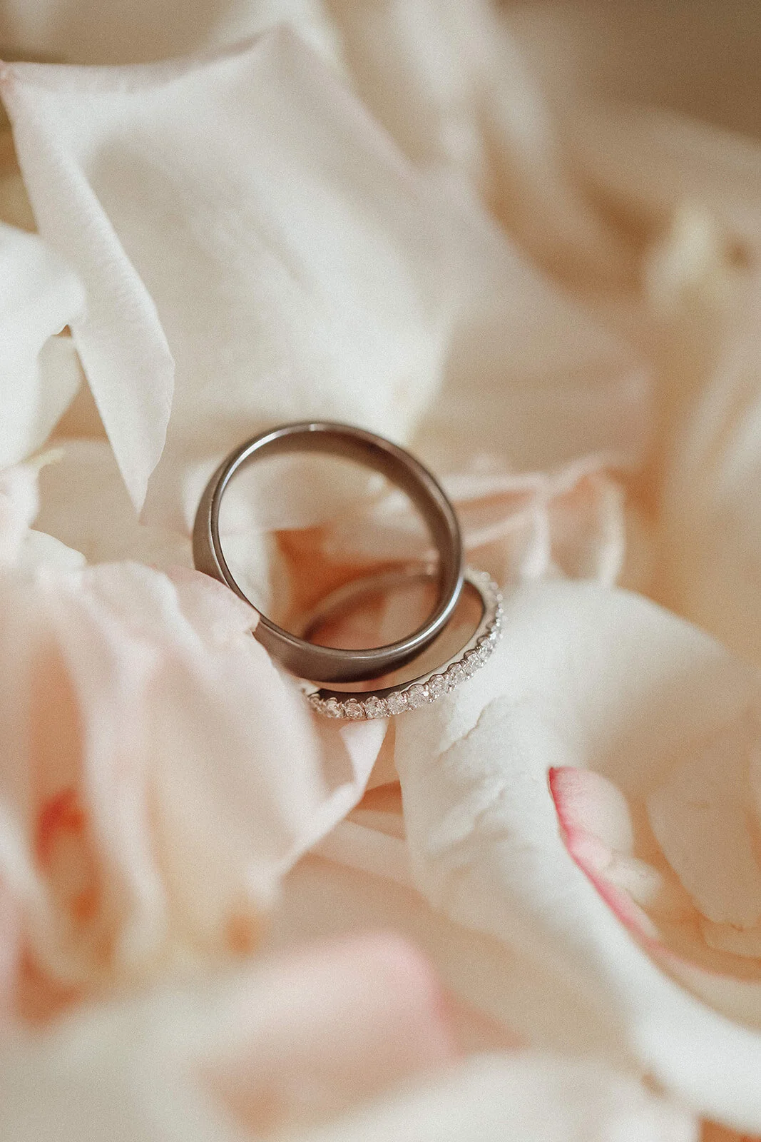 Lauren Anne Photography