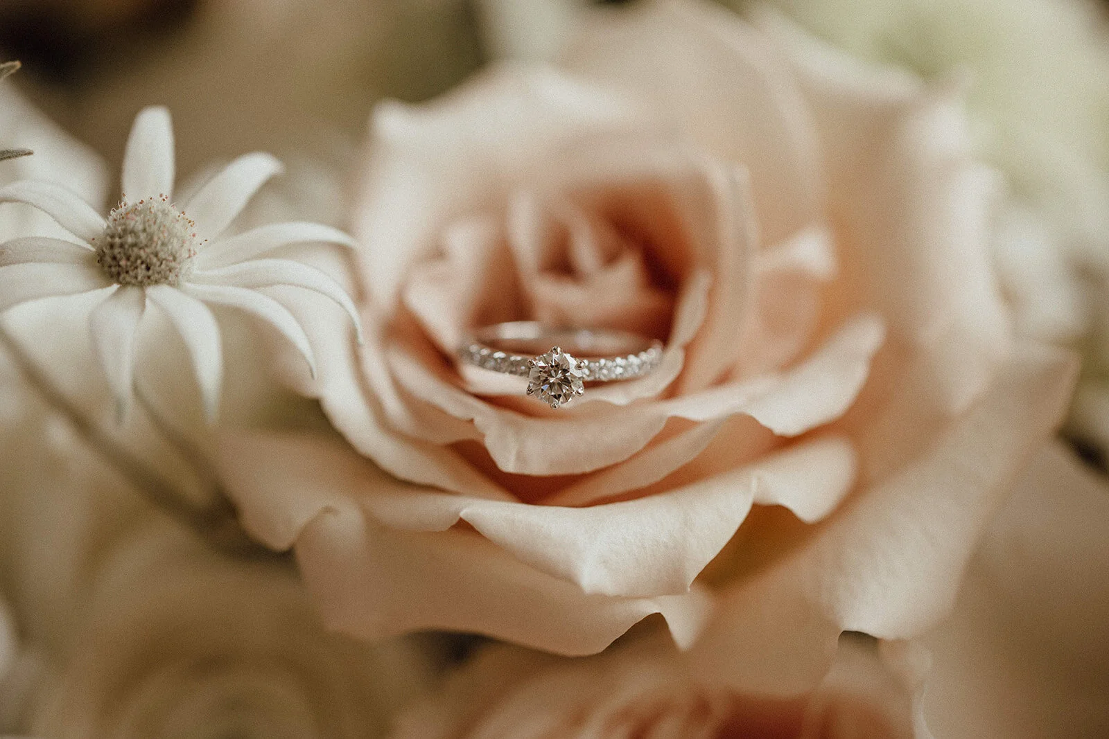 Lauren Anne Photography