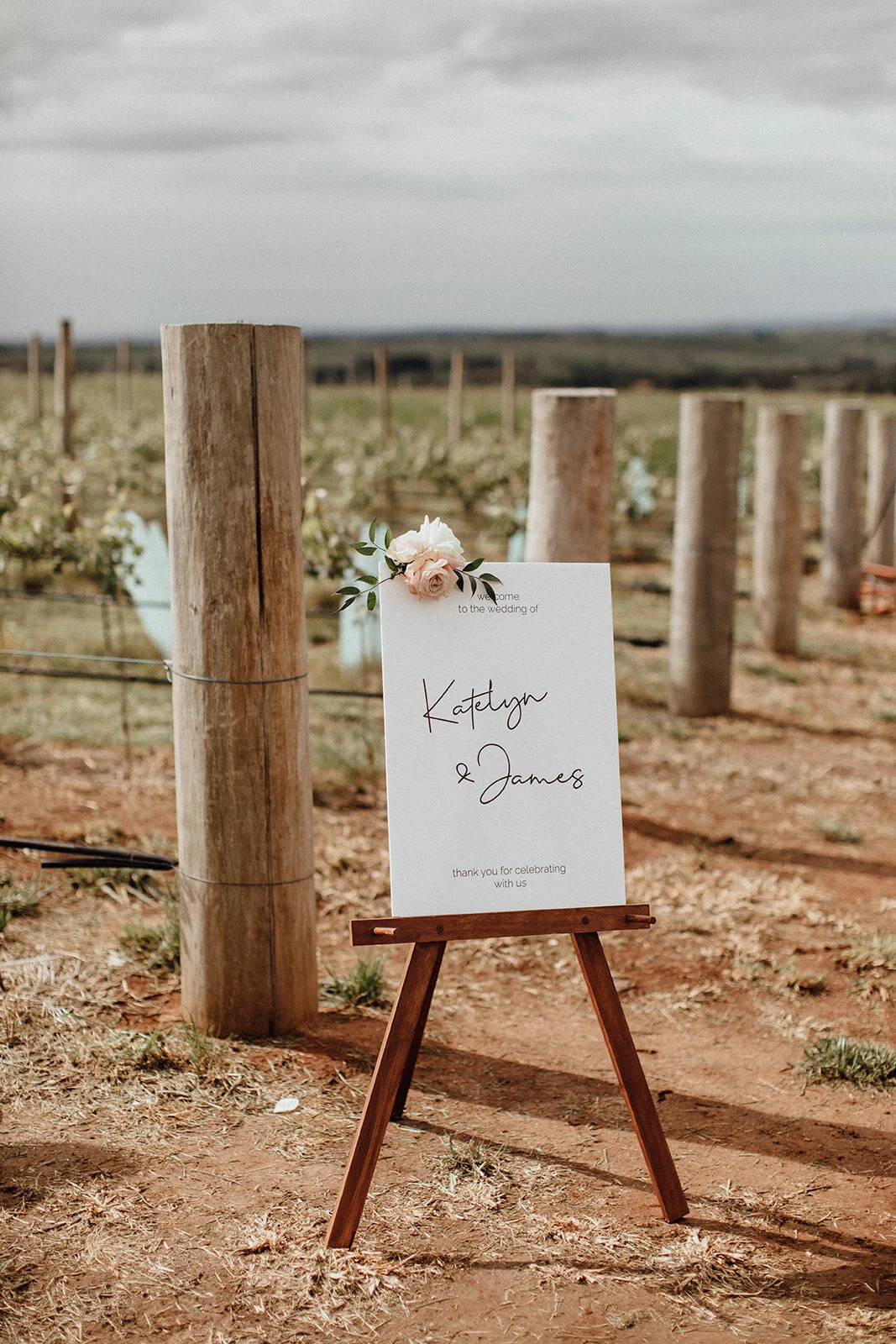 Lauren Anne Photography