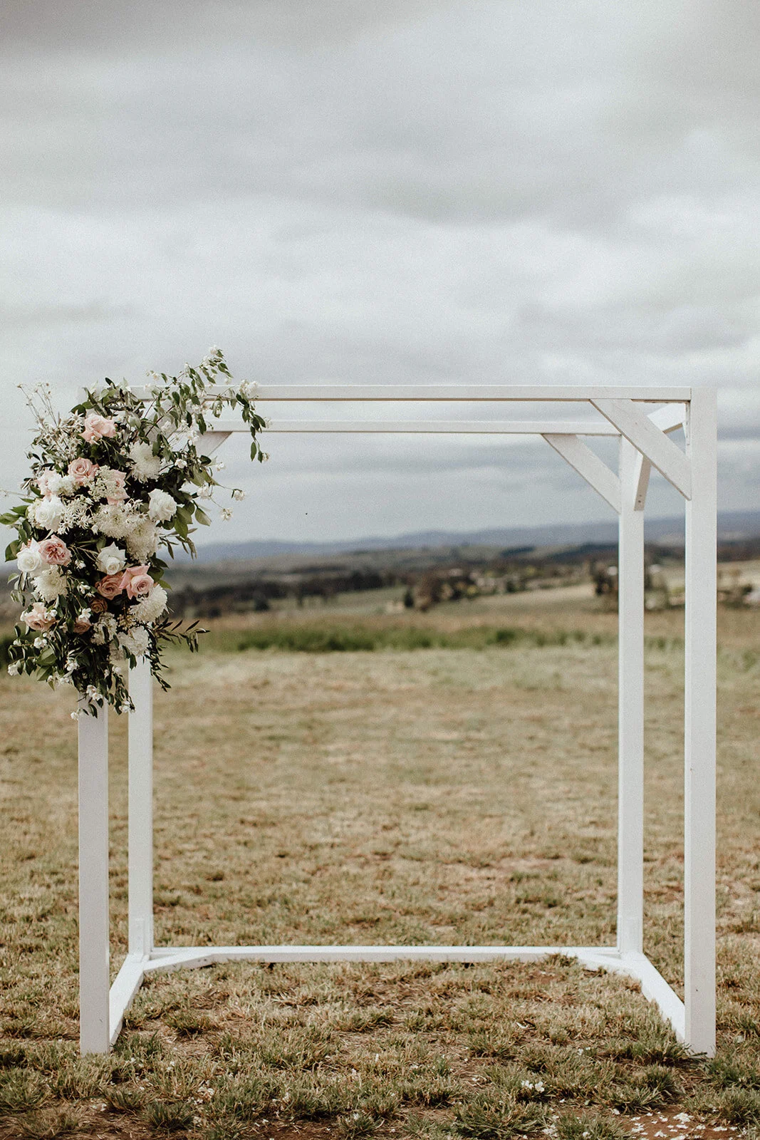 Lauren Anne Photography