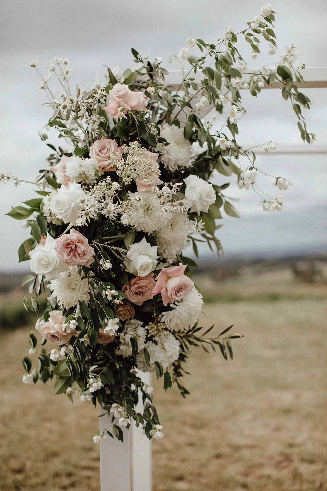 Lauren Anne Photography