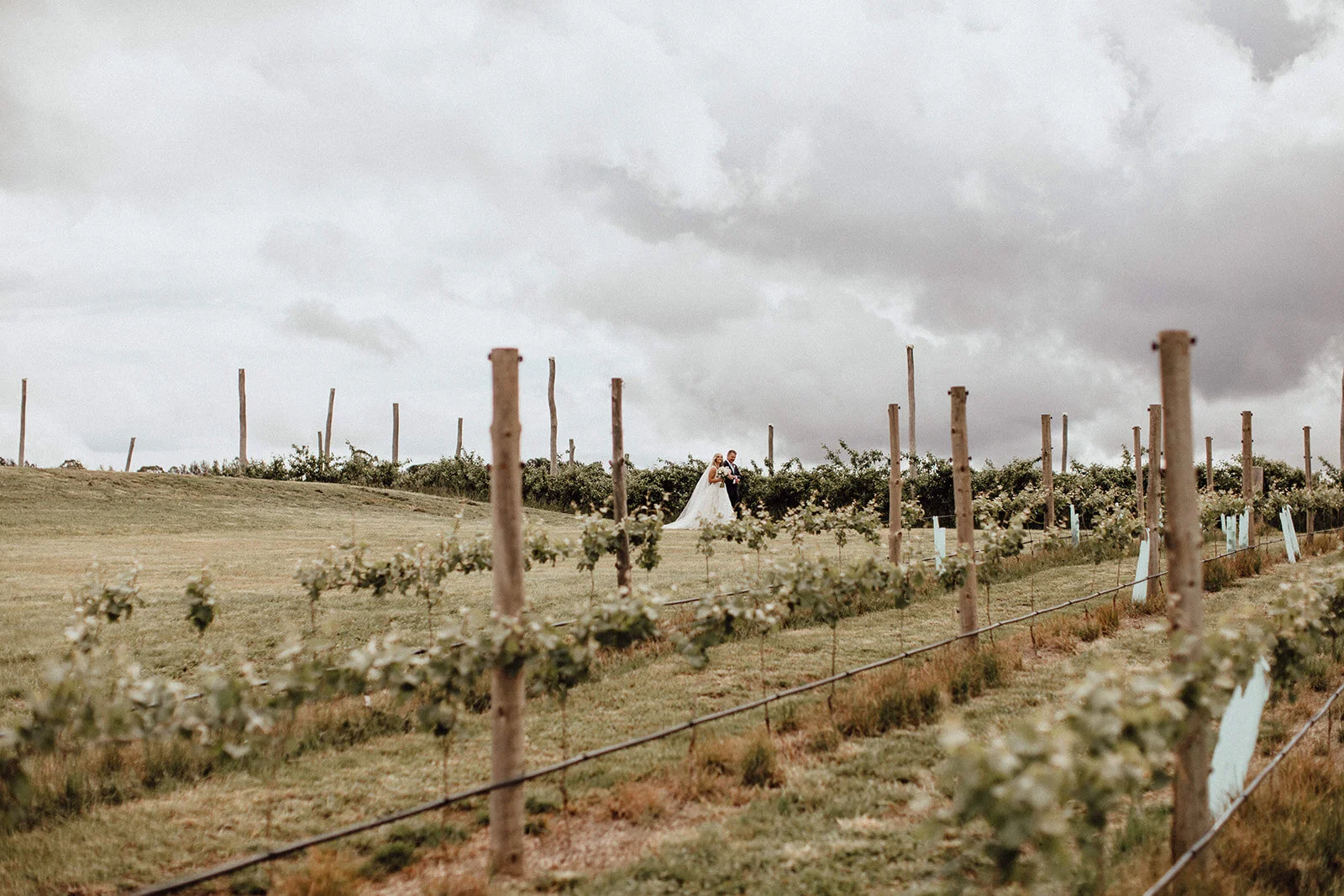 Lauren Anne Photography