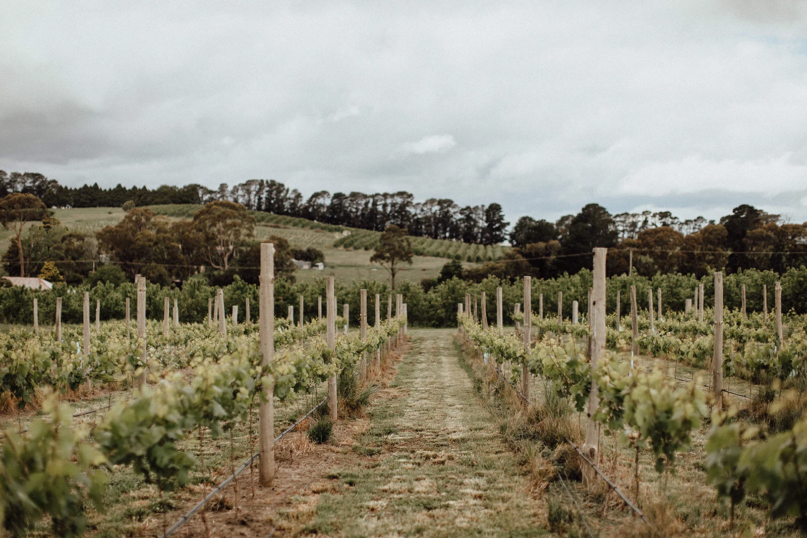 Lauren Anne Photography