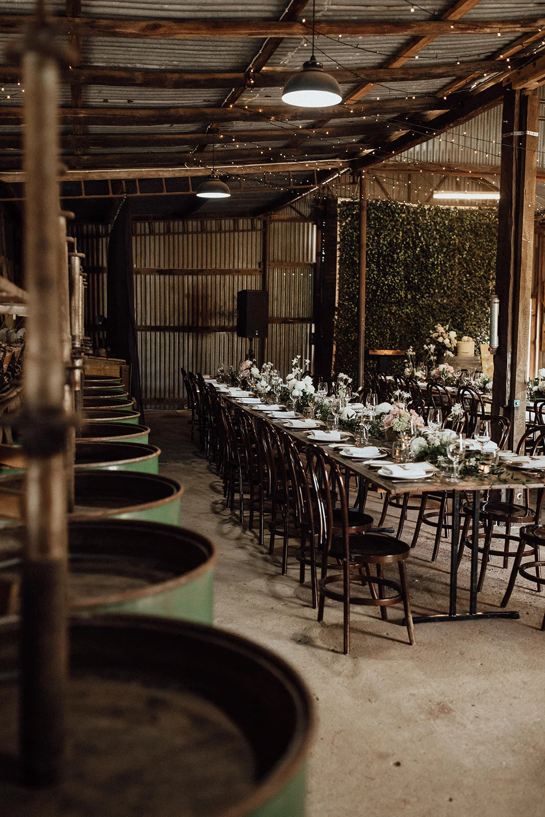 Lauren Anne Photography