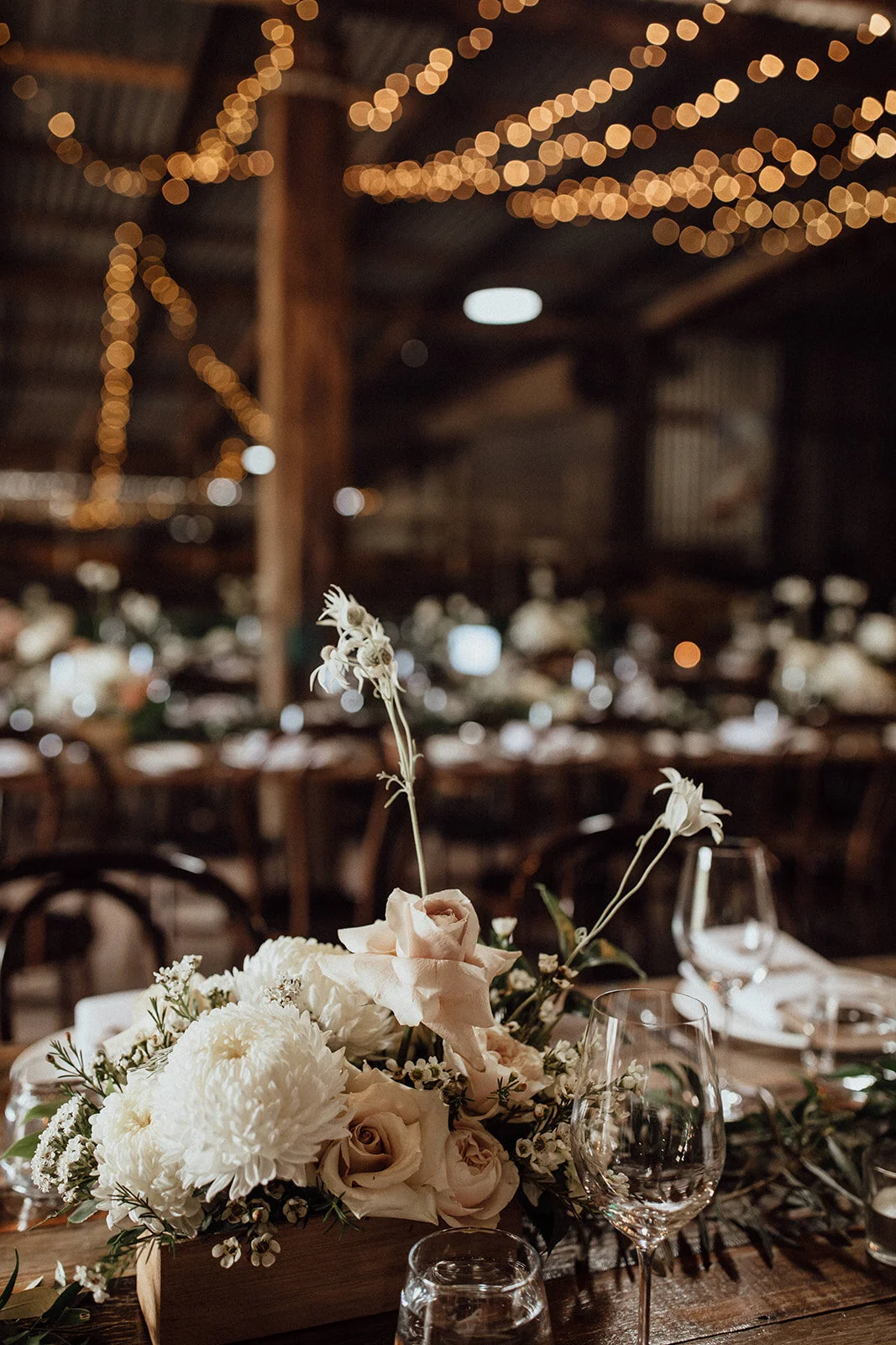 Lauren Anne Photography