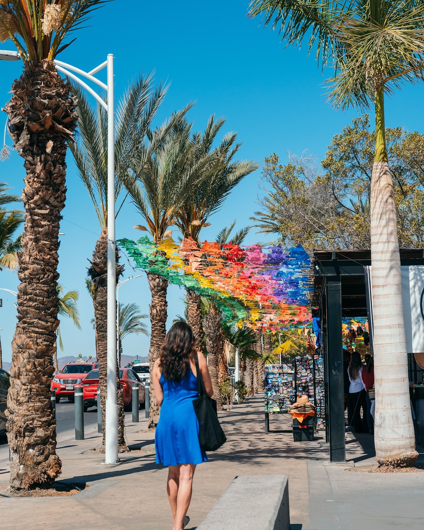 Take me back to the warmth and sunshine of Baja California Sur! When it&rsquo;s grey and rainy in Seattle, I can&rsquo;t help but dream of my time in the colorful city of La Paz, and the adventures we had along the Sea of Cortez with @uncruise ⛴️
-
I