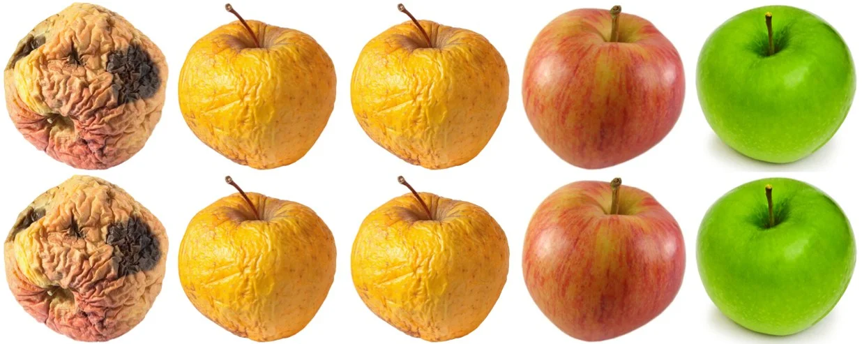 4x2 Apples in row.jpg