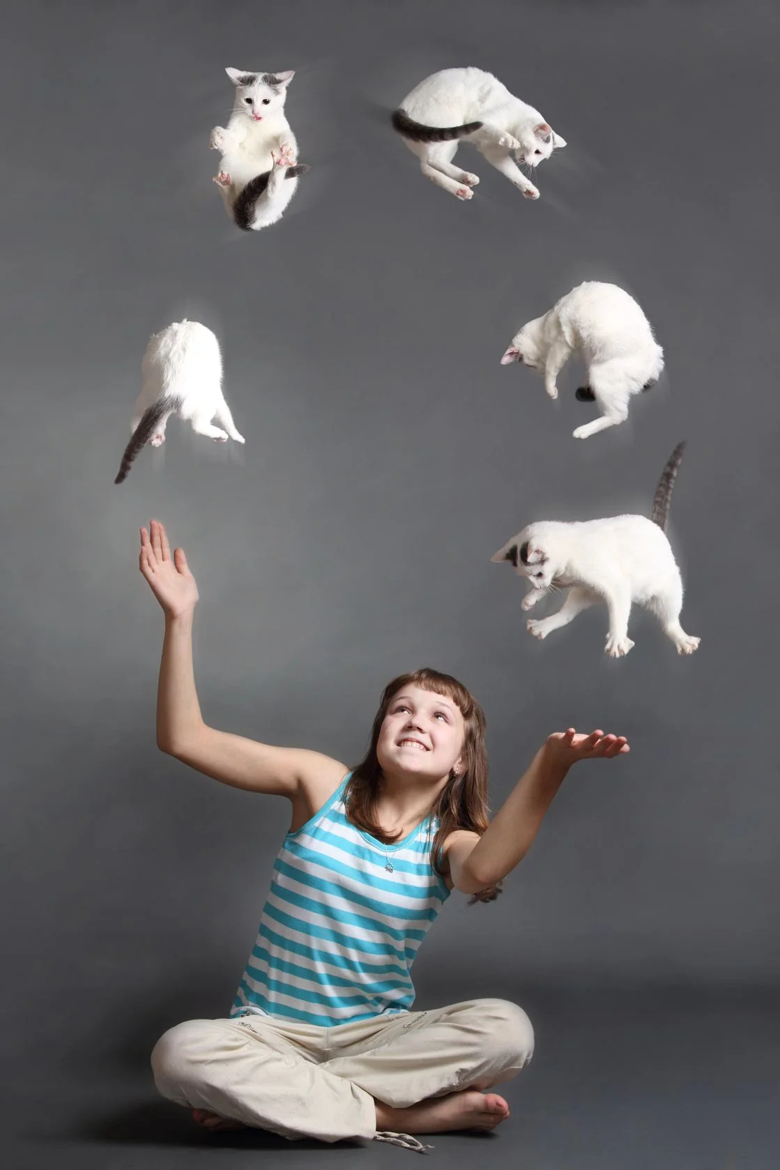 Juggling Cats 13334328_ml.jpg