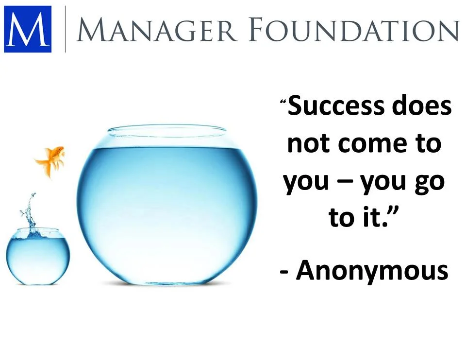 Anonymous Success Does not Come to You Quote.jpg