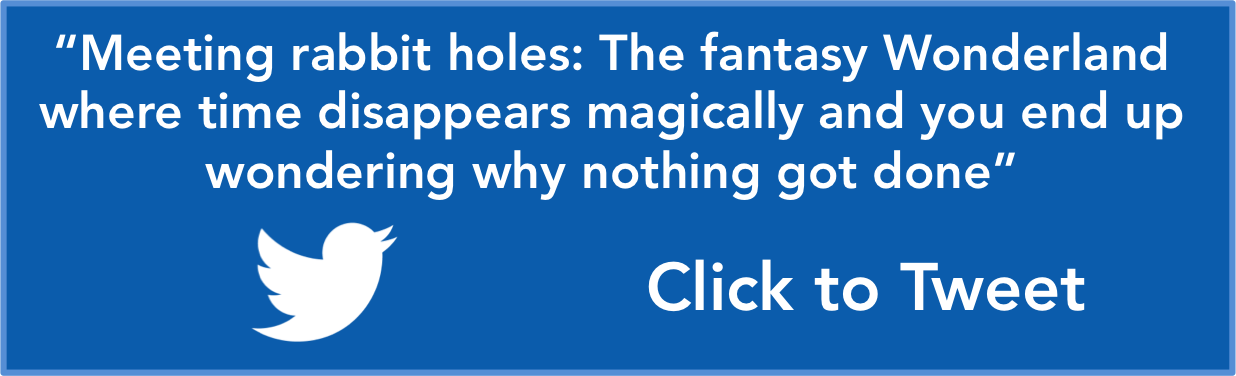 C2T Meeting Rabbit Holes MEET101.png