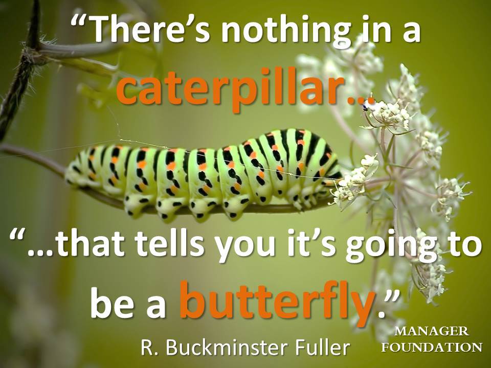 R Buckminster There's nothing in a caterpillar quote CD.jpg