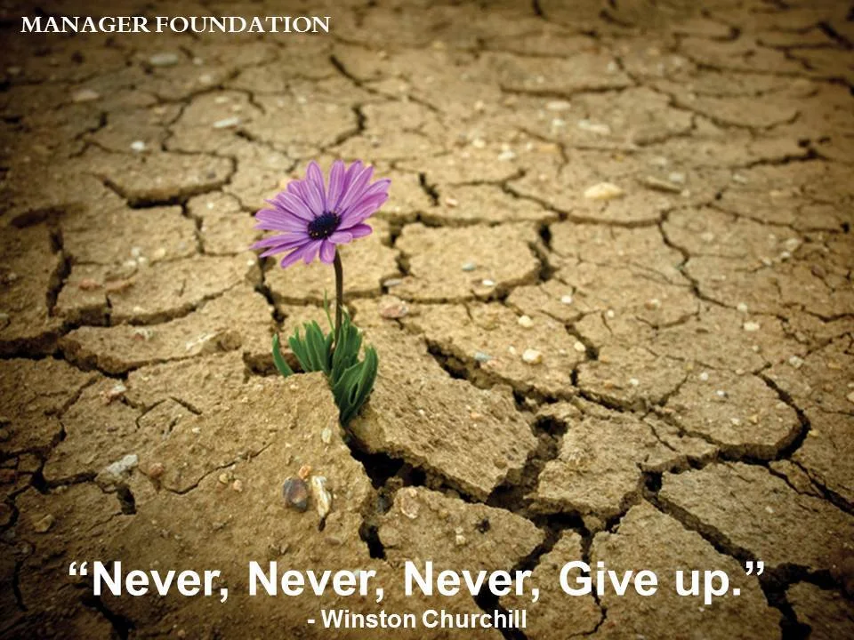 Winston Churchill Never Give Up Quote CD.jpg