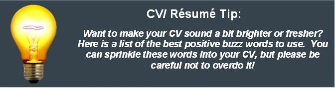 CV Writing Tip Mind Your Language Jpeg