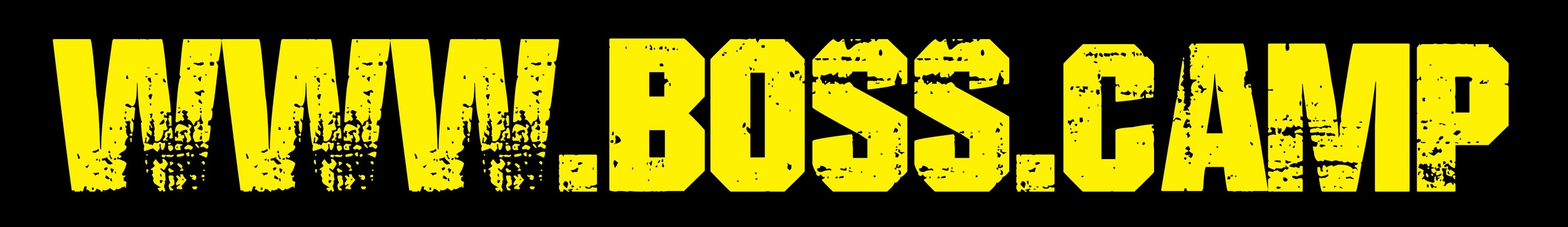 Join Boss Camp at www.boss.camp