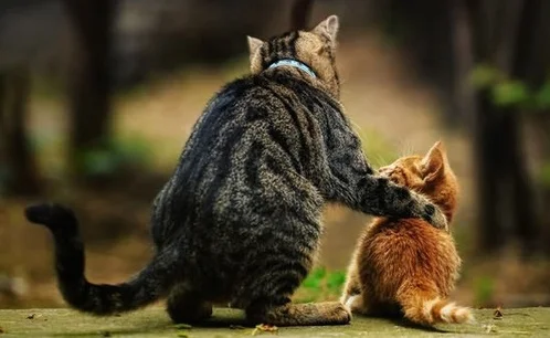 Employee growth through skills development Jpeg