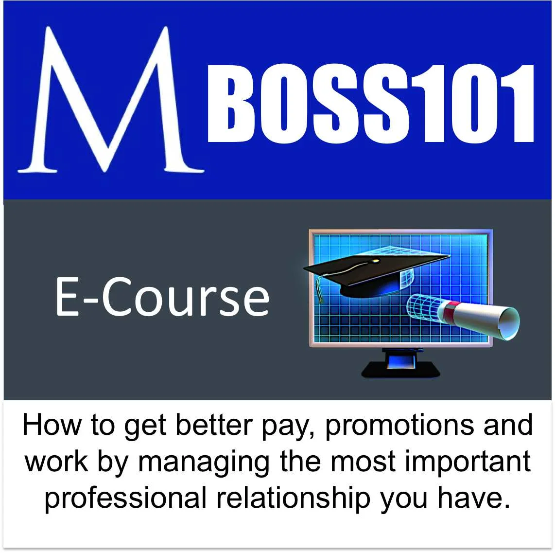BOSS101 A E Course.jpg