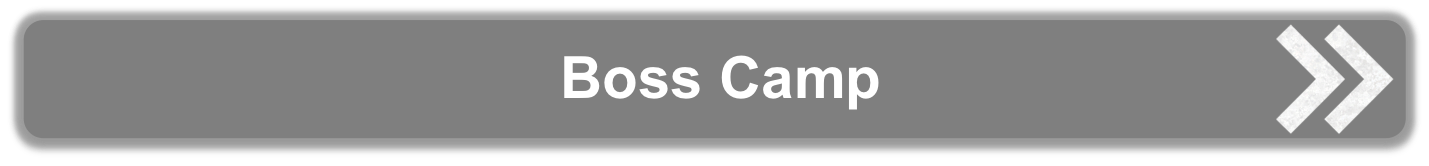 Boss Camp Testimonials Banner Image