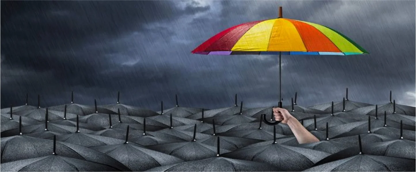 Self-Leadership: Developing Your Strengths - Developing Your USP