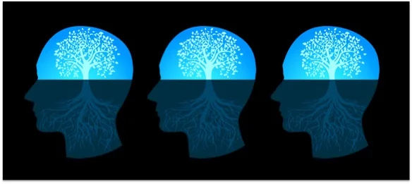 Managing Your Mindset: Mindset and Wellbeing