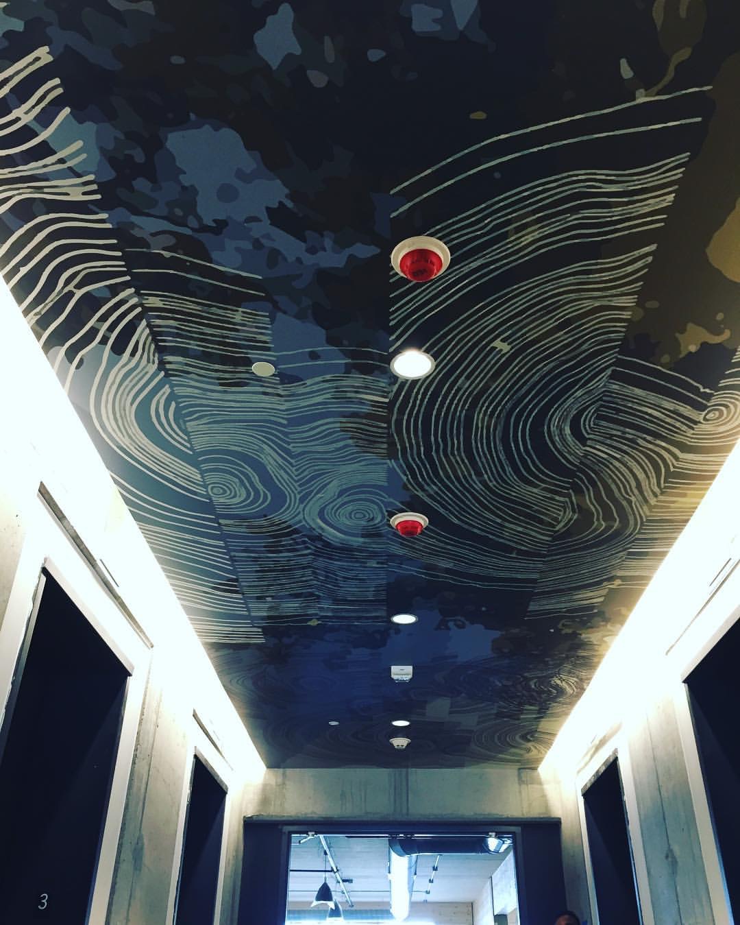 T3_ceiling.jpeg