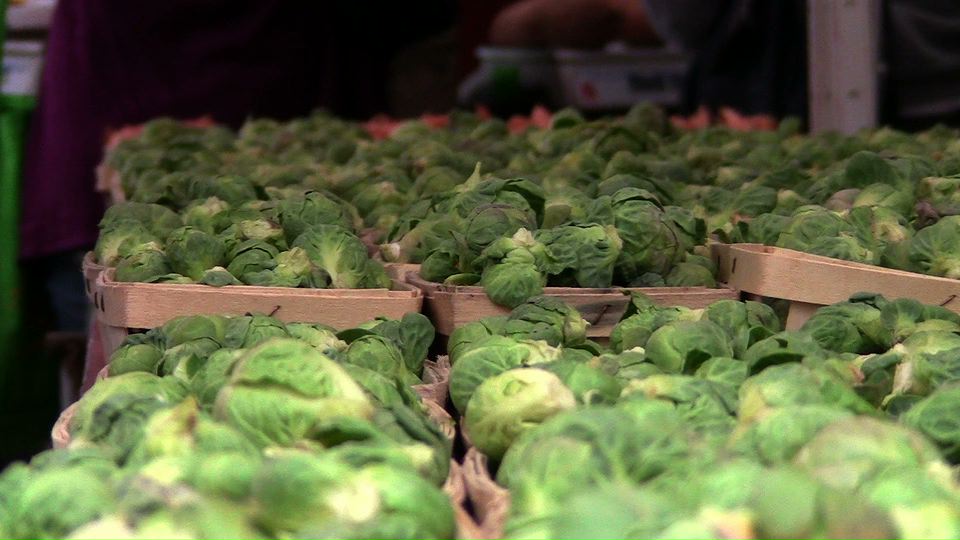 BrusselSprouts.jpeg