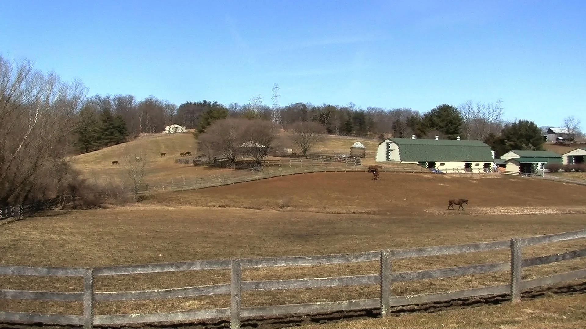 farm1.jpeg