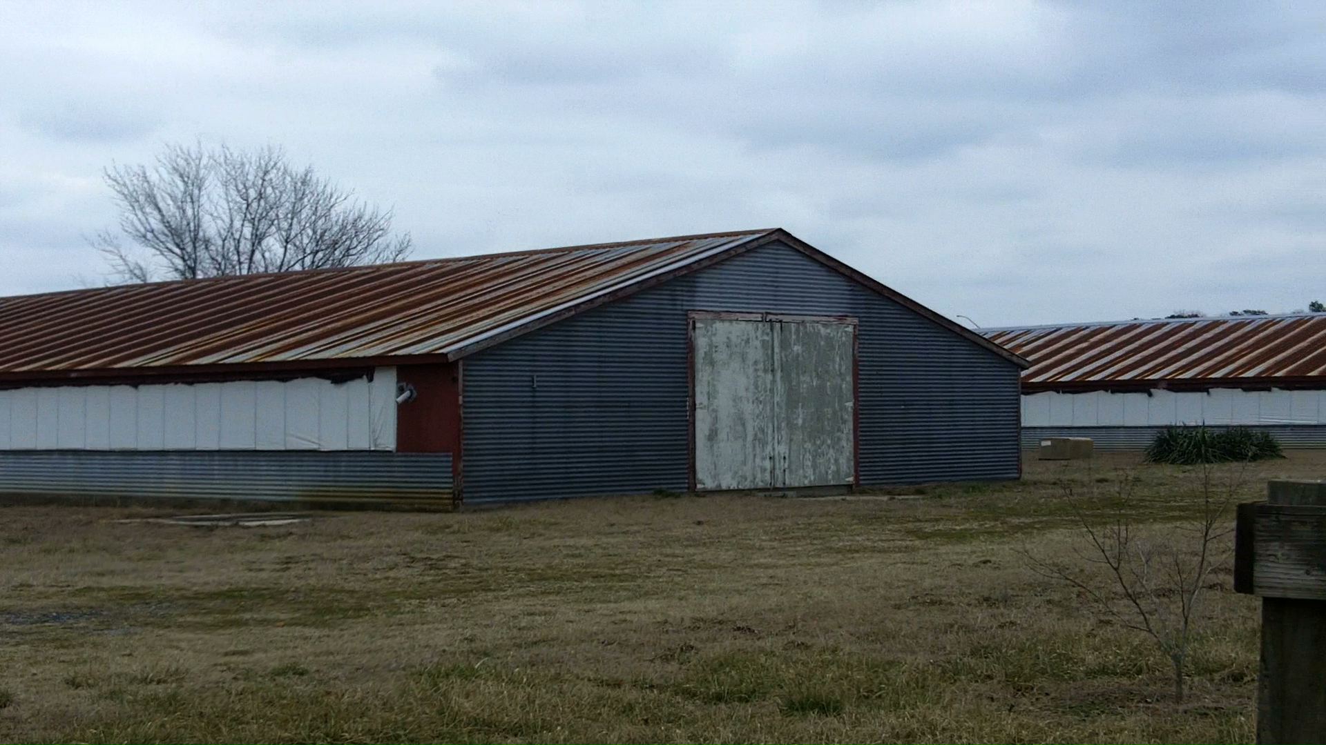 chickenhouse.jpeg
