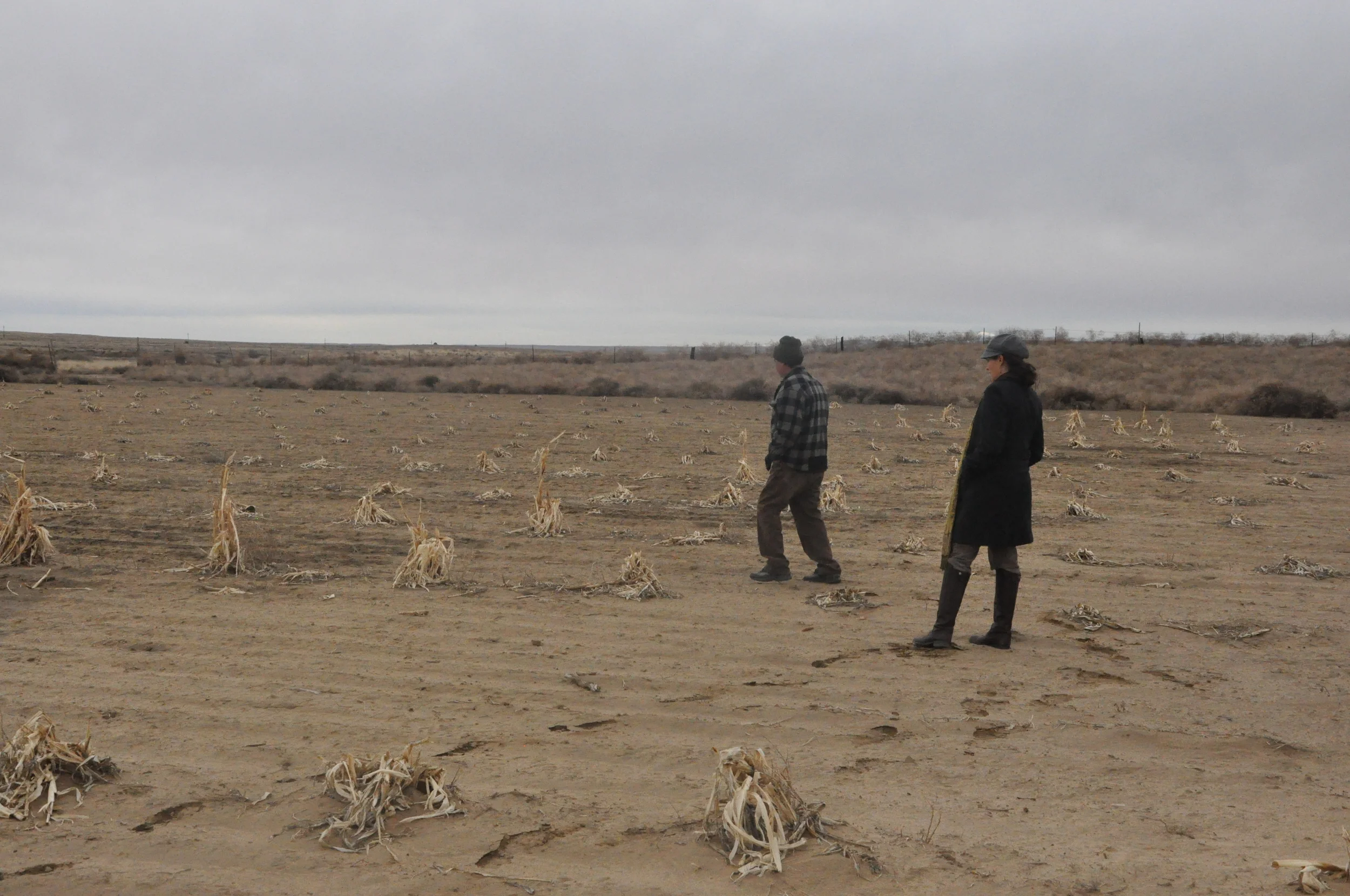   Photo Credit: Arielle Conti&nbsp;  