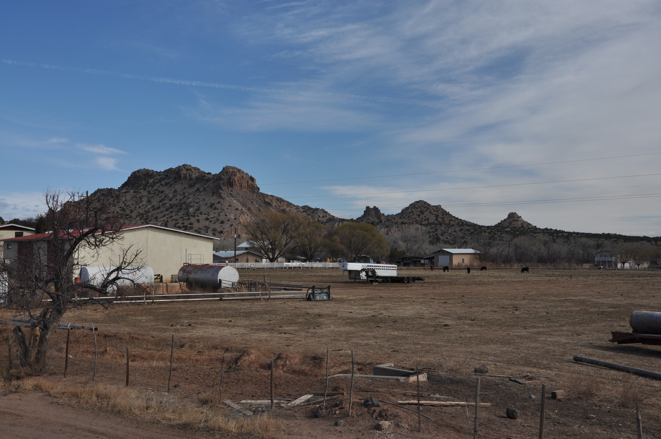   Photo Credit: Arielle Conti&nbsp;  