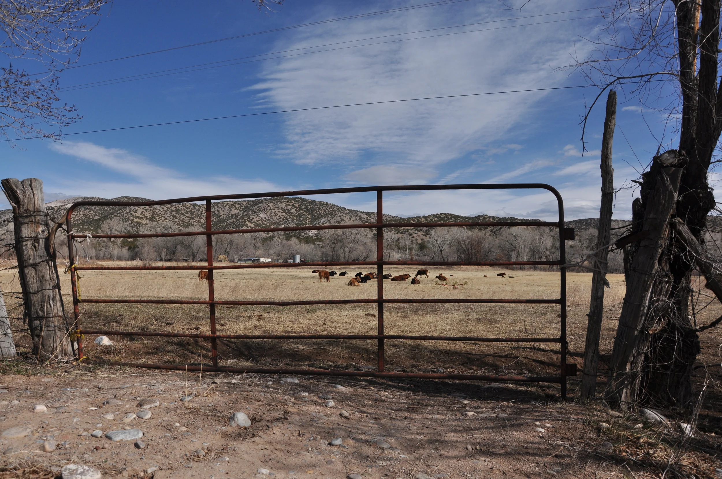   Photo Credit: Arielle Conti&nbsp;  