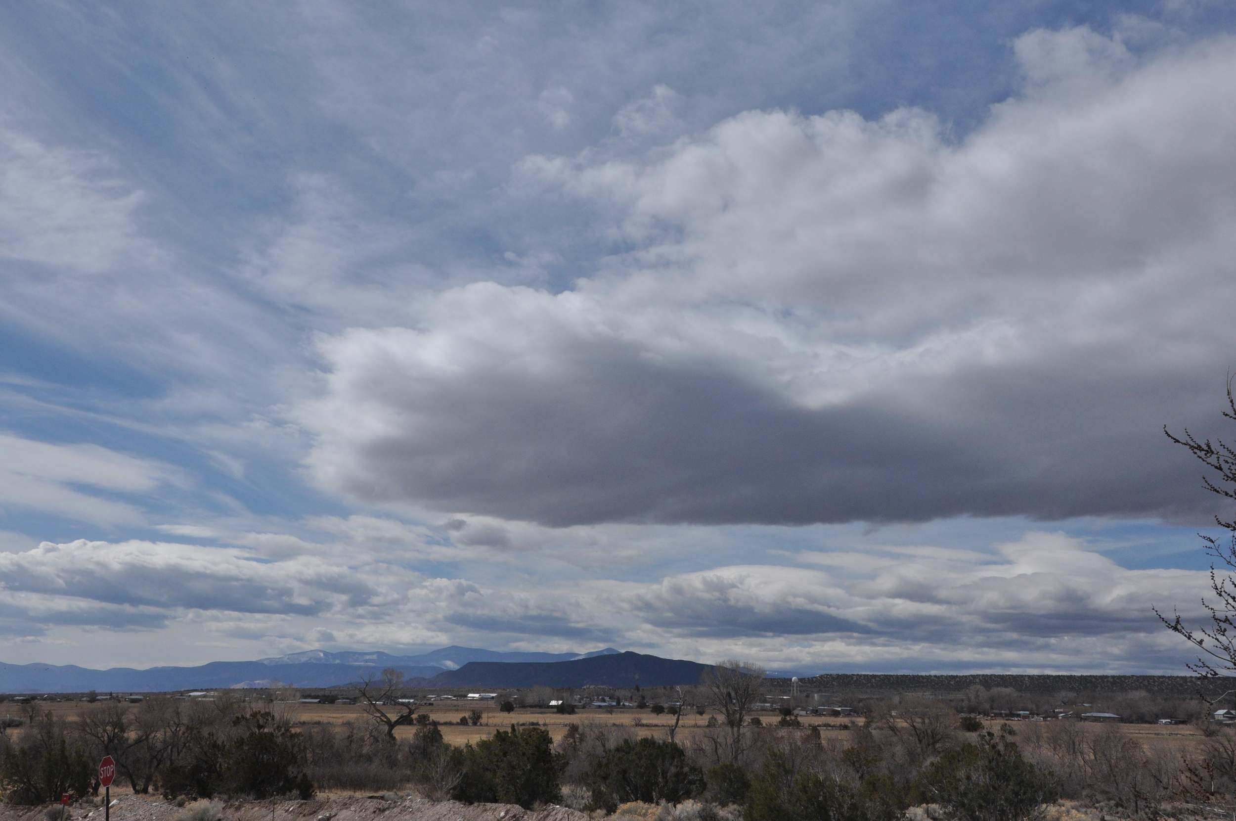   Photo Credit: Arielle Conti&nbsp;  