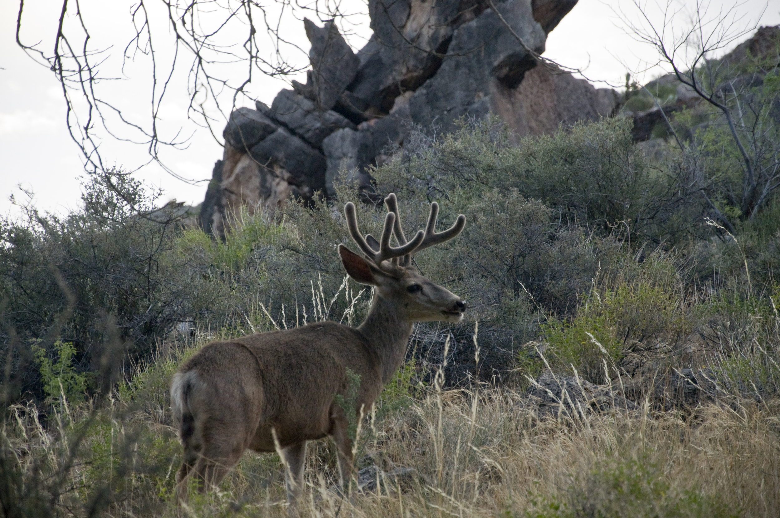 FTM_Grand_Canyon_0324KO.JPG