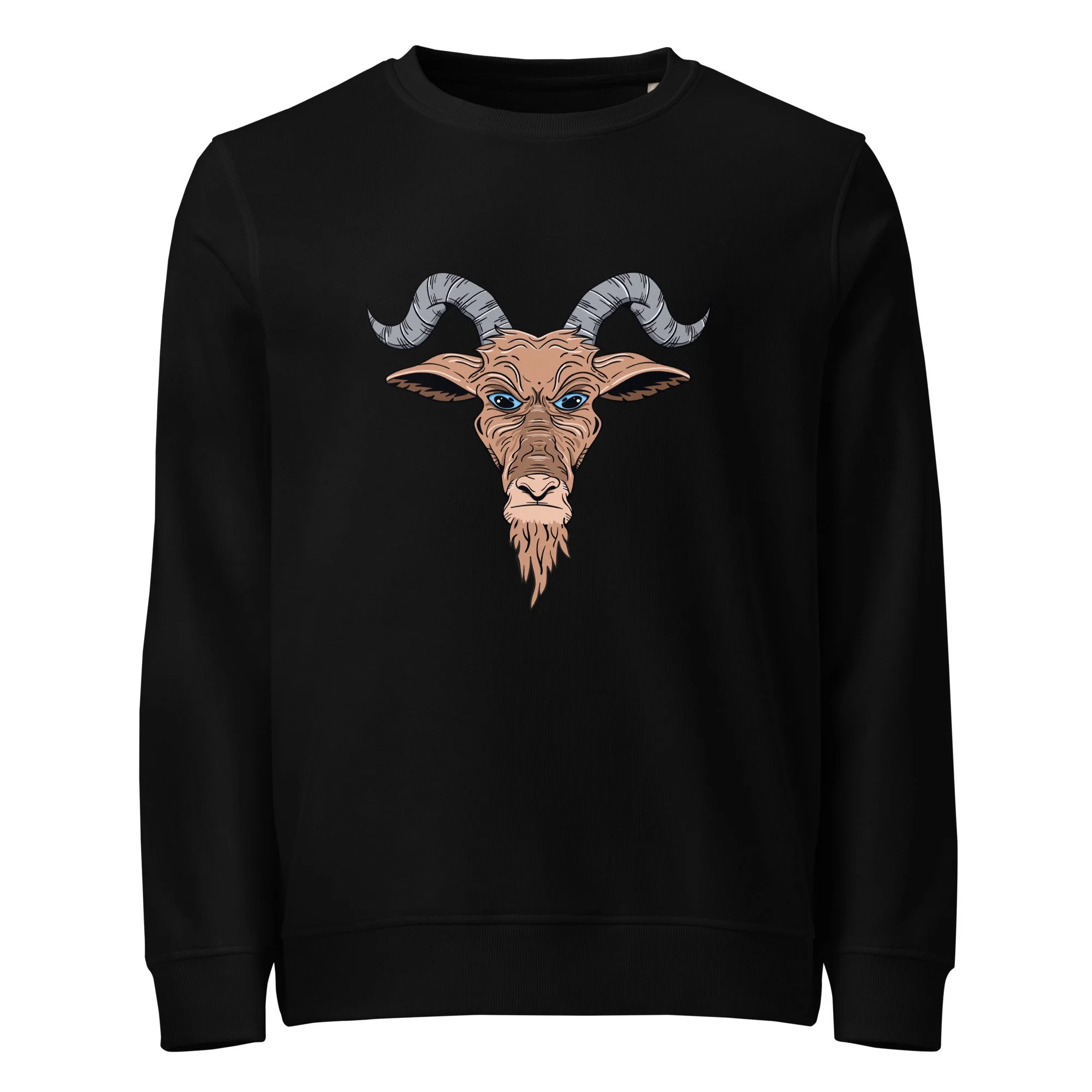 unisex-organic-sweatshirt-black-front-692b337d6b6d2.jpg