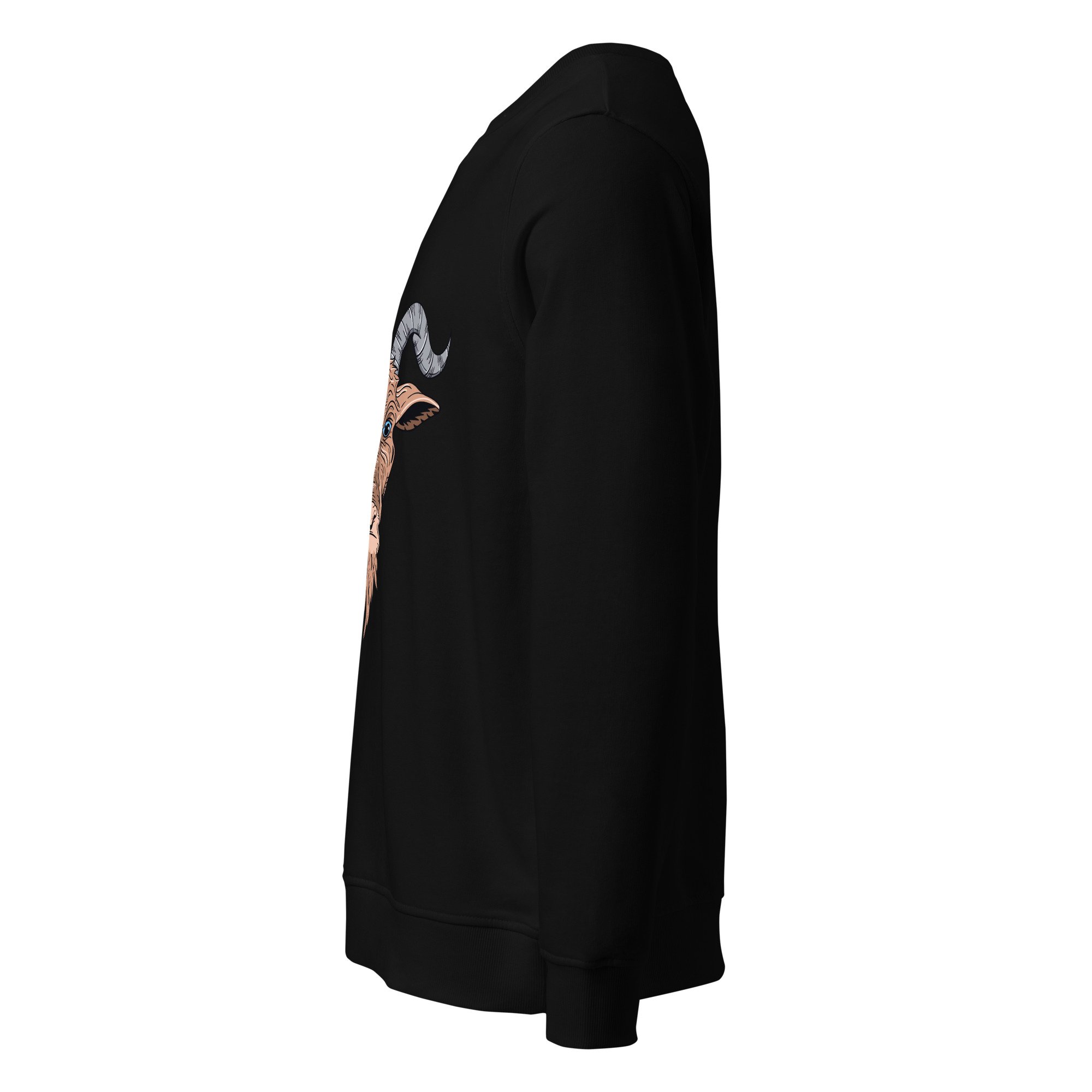 unisex-organic-sweatshirt-black-left-692b337d6e3cb.jpg