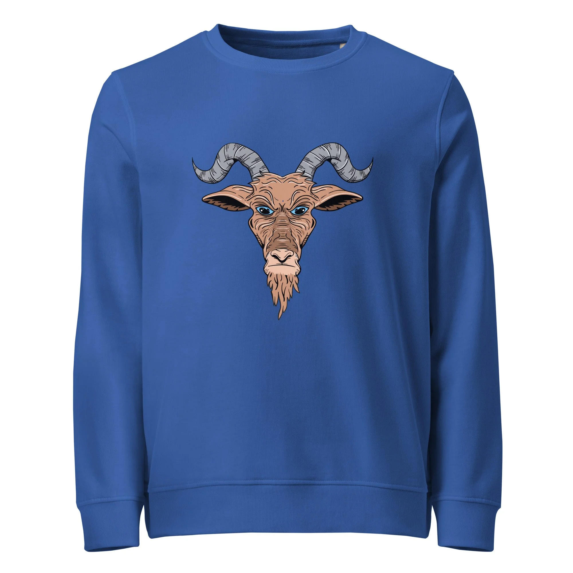 unisex-organic-sweatshirt-royal-blue-front-692b337d6c275.jpg