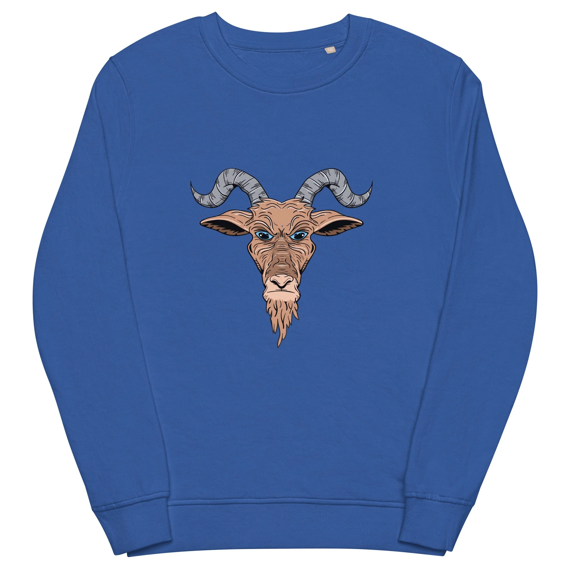 unisex-organic-sweatshirt-royal-blue-front-692b41fde4fee.jpg
