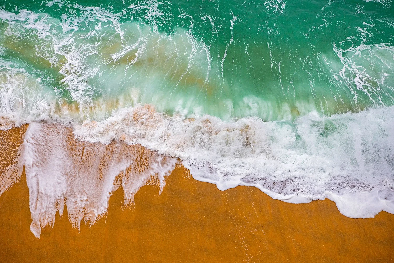 Shore.jpeg