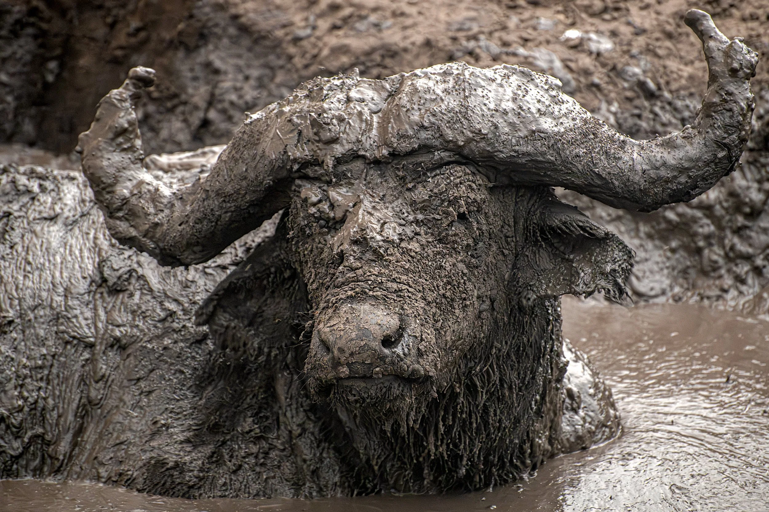Mud Bath WPY.jpg