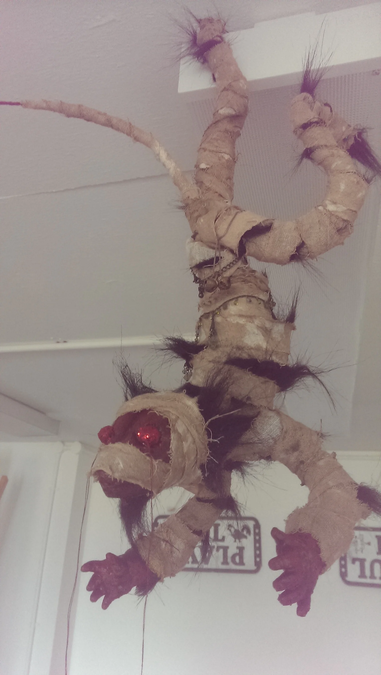 IMAG0895.jpg