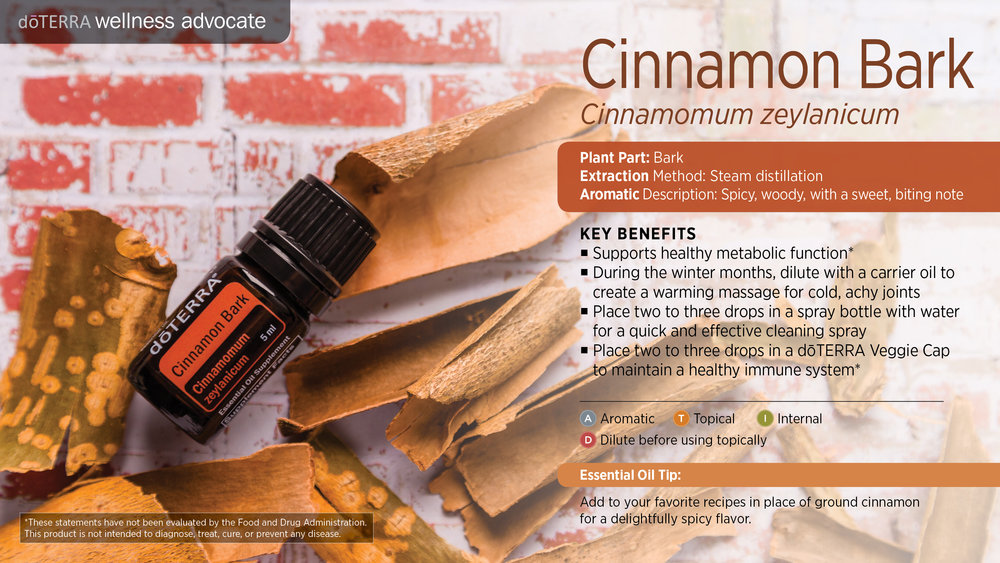 DoTerra Cinnamon Bark Oil 5mL — Healthy Life Chiropractic