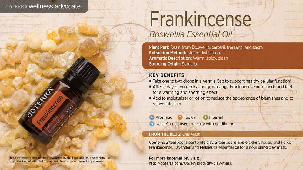 DoTerra Frankincense Oil 15mL — Healthy Life Chiropractic