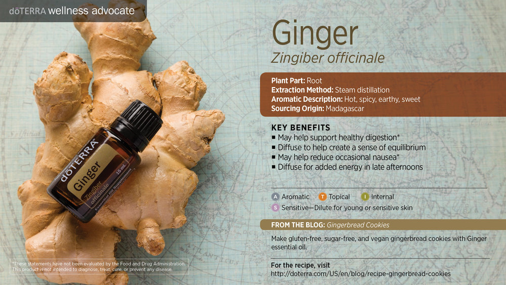 Ginger Oil Uses and Benefits: Essential Oil Spotlight, doTERRA Essential  Oils