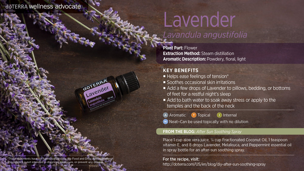 DoTerra Lavender Oil 15mL — Healthy Life Chiropractic