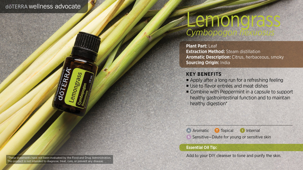 Doterra Lemongrass Essential Oil - Benefits and How To Use  Lemongrass  essential oil uses, Lemongrass essential oil benefits, Lemongrass essential  oil