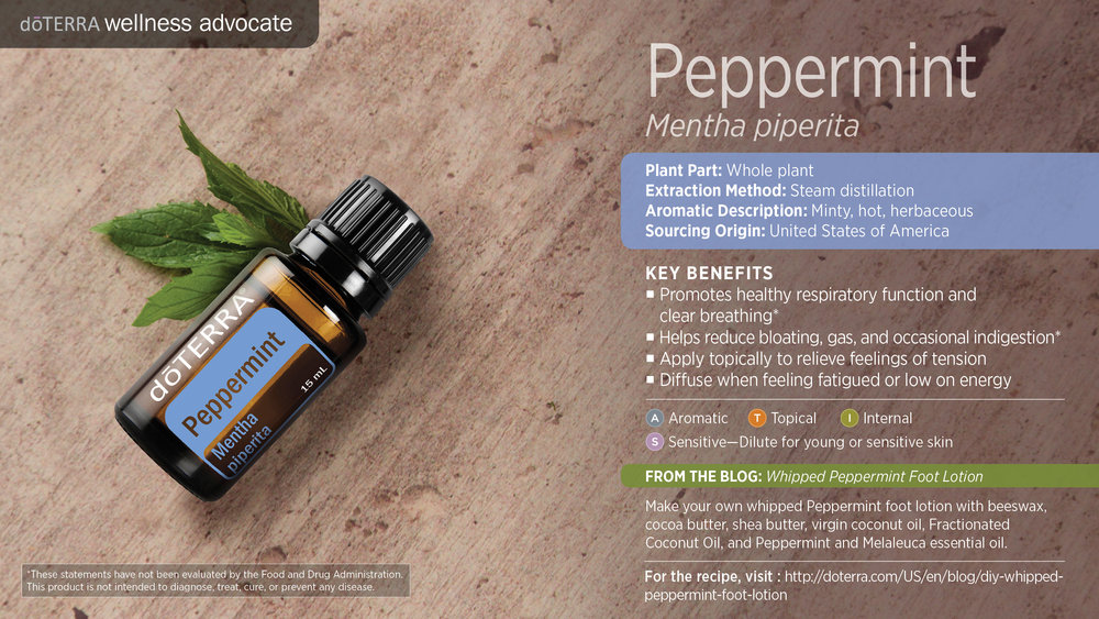 DoTerra Peppermint Oil 15mL — Healthy Life Chiropractic